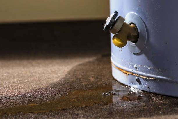 Best Fire Damage Restoration  in Aurora, OH