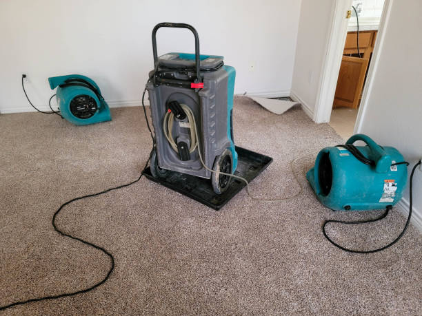Best Water damage restoration near me  in Aurora, OH