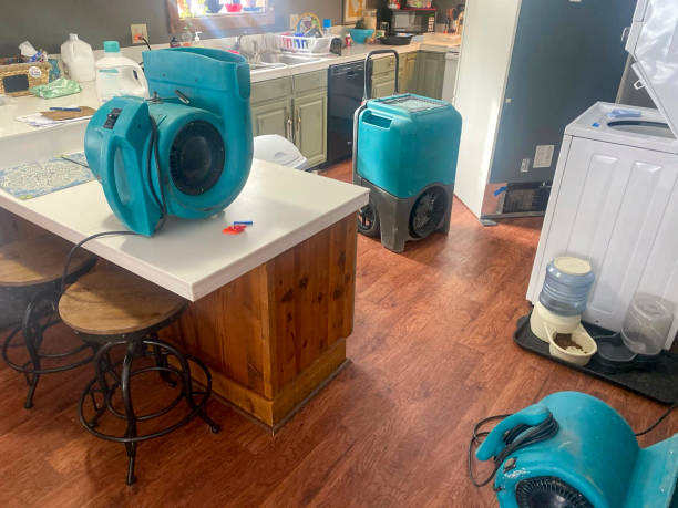 Best Flood damage cleanup  in Aurora, OH