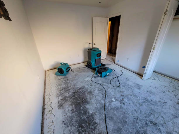 Best Mold removal after water damage  in Aurora, OH