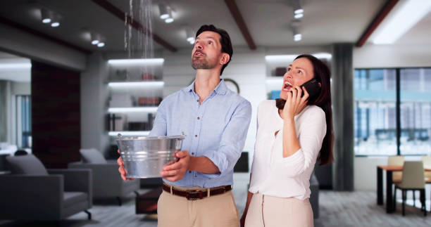 Best Flood damage cleanup  in Aurora, OH