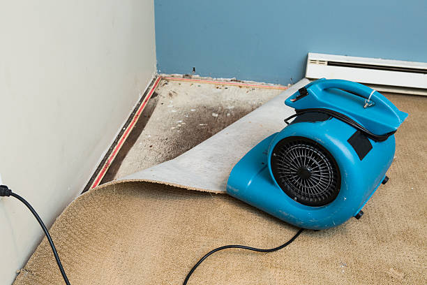 Best Professional water damage repair  in Aurora, OH